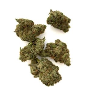 Biscotti Pebbles Strain UK