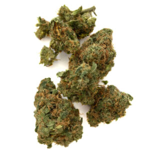 Gummy Bears Weed Strain UK