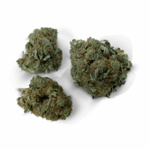 Gelato Strain UK