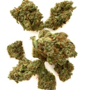 Gushers Strain UK