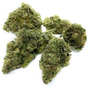 Liberty Haze Strain UK