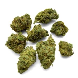 Nightwalker Strain UK