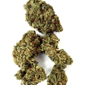 Purple Dawg Strain UK