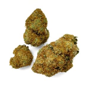 Purple Mimosa Strain UK