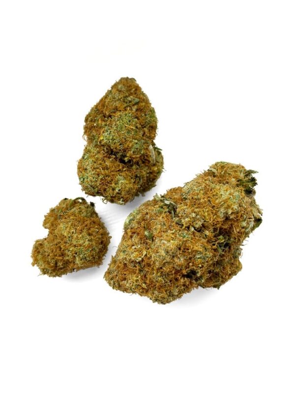 Purple Mimosa Strain UK