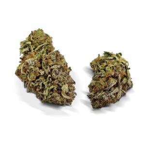 RUNTZ X LAYER CAKE Strain UK