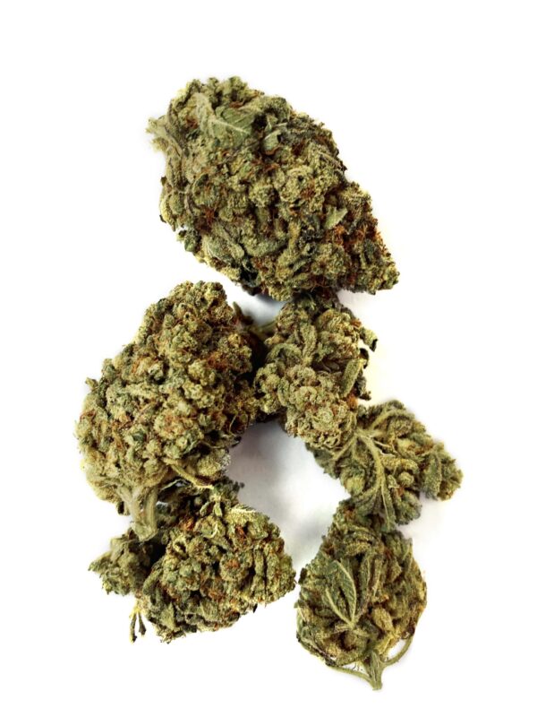 Purple Dawg Strain UK