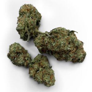Grease Monkey Strain UK