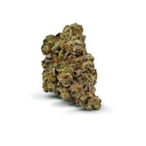 Mimosa Strain UK